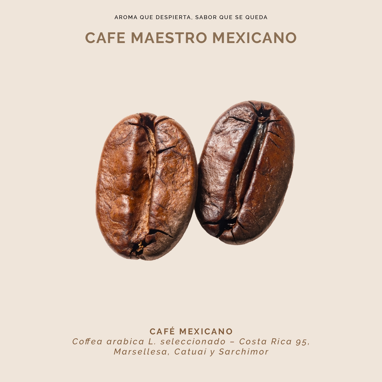 Café Molido LC miniatura 5
